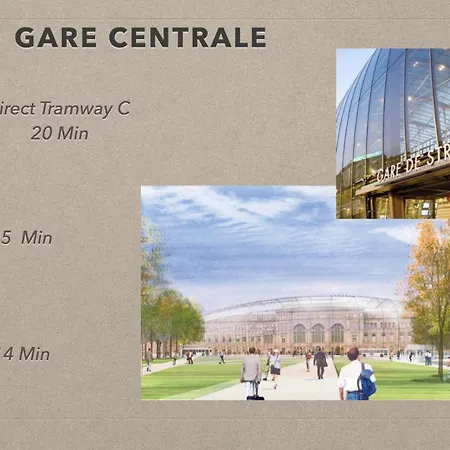 Les Des Forges Appartement Strasbourg